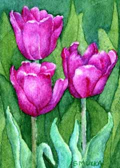 "3's Company" by Linda Smulka, Madison WI - Watercolor, SOLD